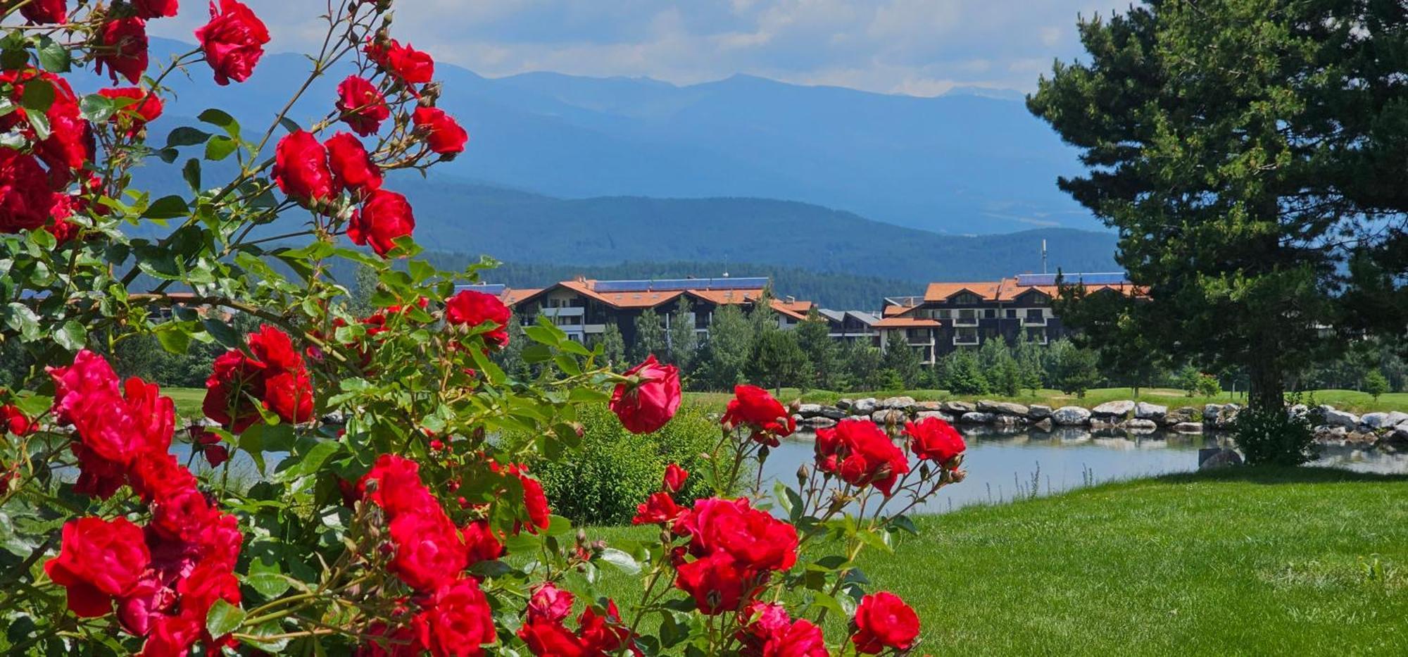 Green Peaks Suite In Pirin Golf & County Club Razlog Exteriér fotografie